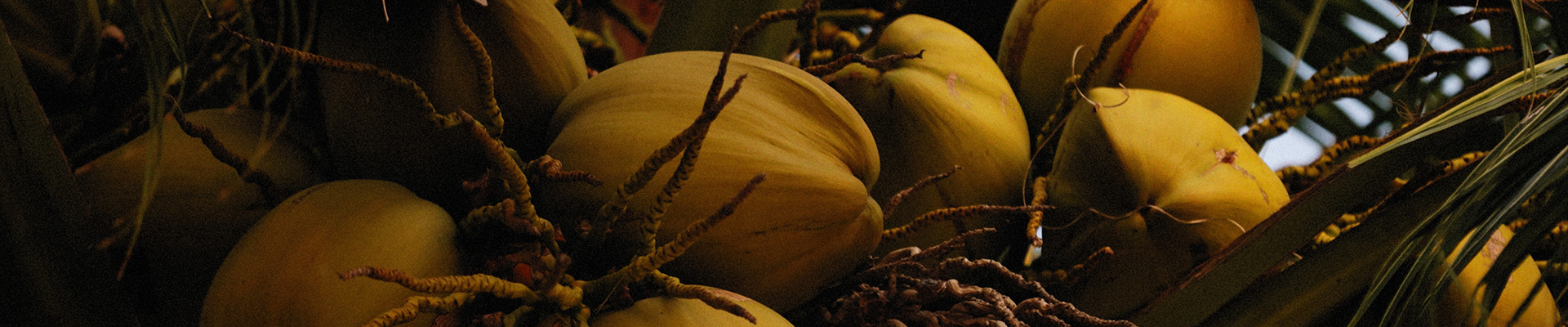 ��������(�й�����)�ٷ���վ