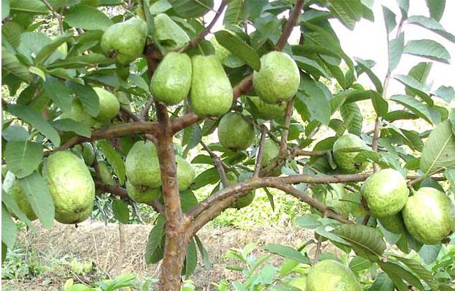 20231016150018 20231016150018