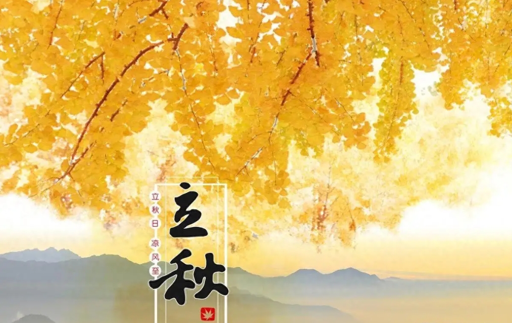 20240807152538 20240807152538