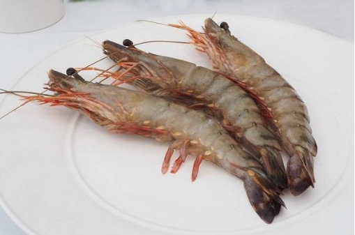 20240813163931 20240813163931