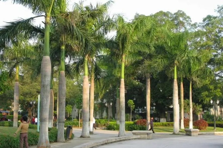 20240919154937 20240919154937