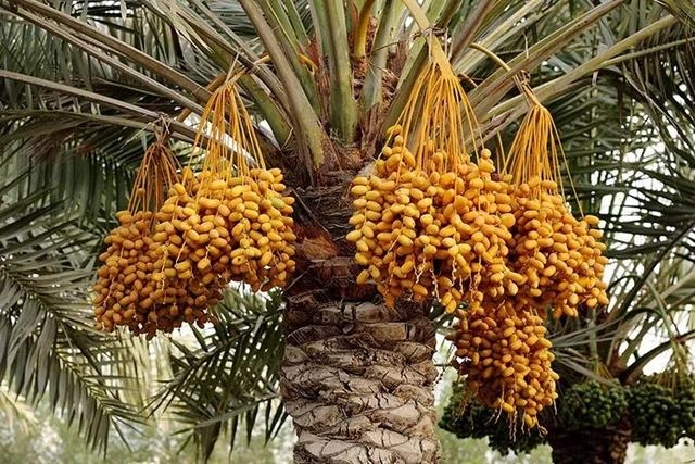 20240919155841 20240919155841