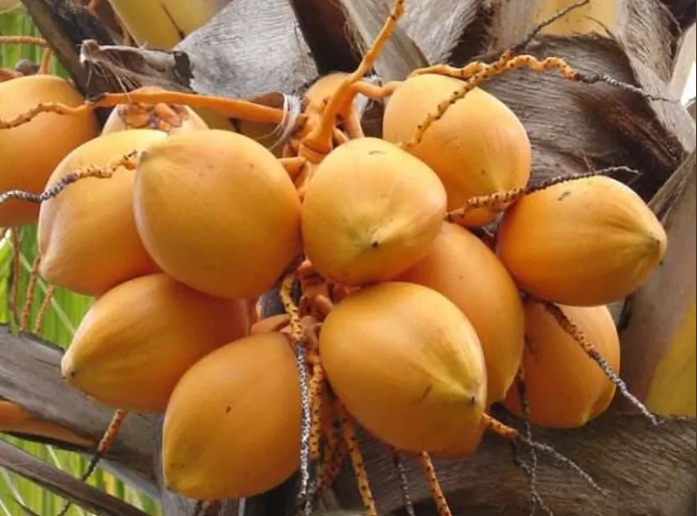 20241009144323 20241009144323