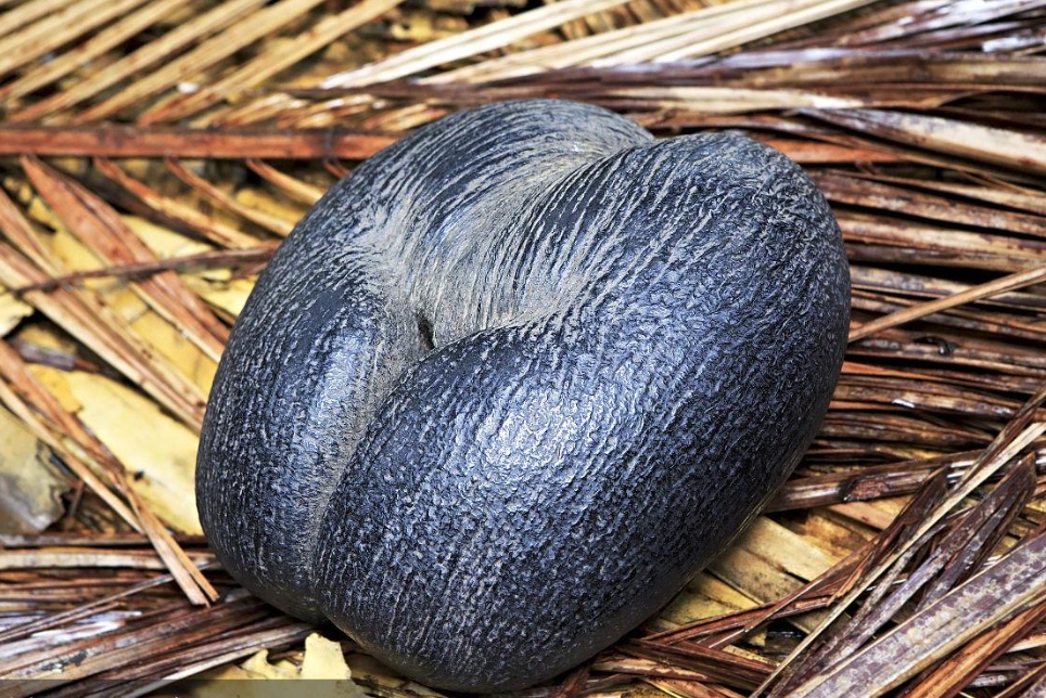 20241015144909 20241015144909