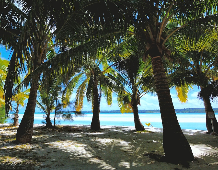 20241106145654 20241106145654