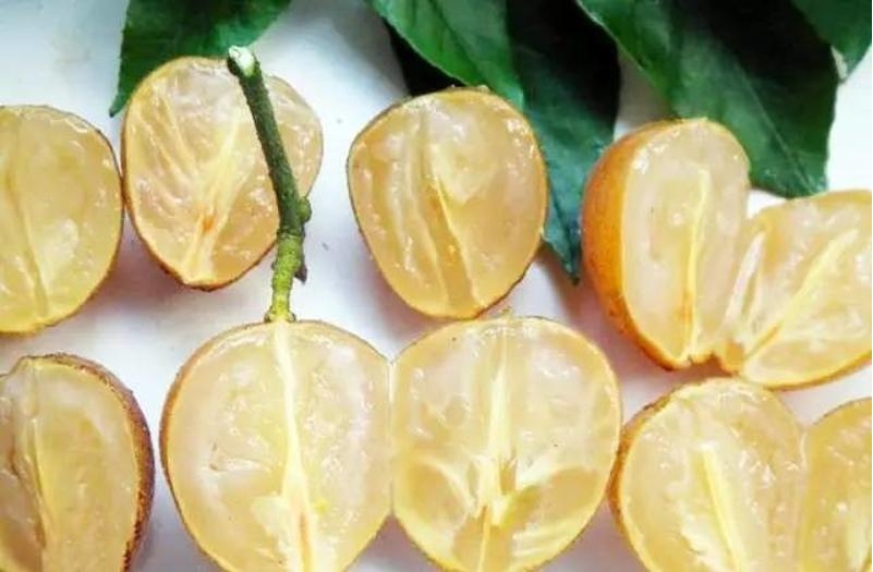 20241112142532 20241112142532