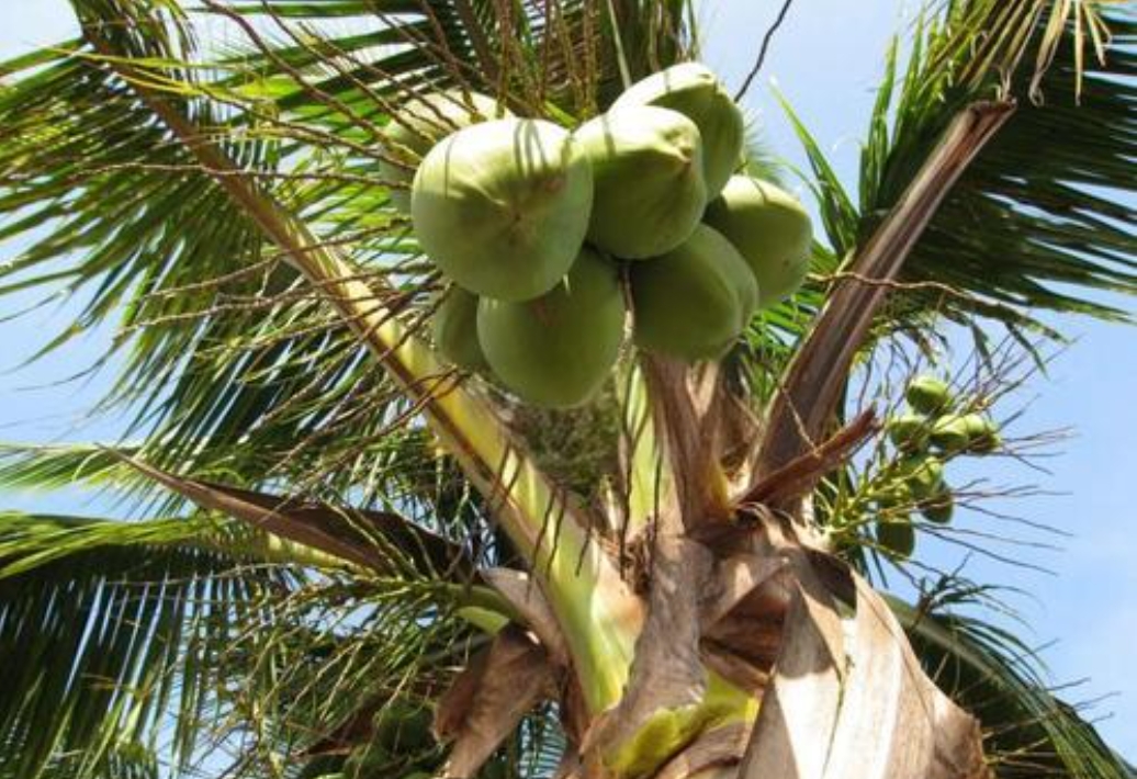 20241115143037 20241115143037