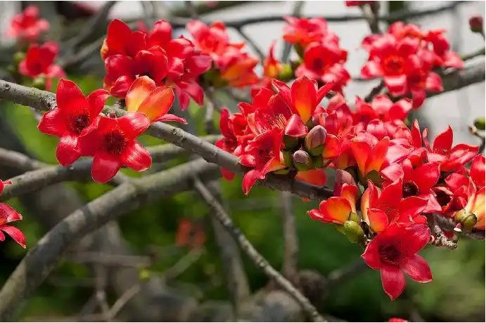 20241119142824 20241119142824