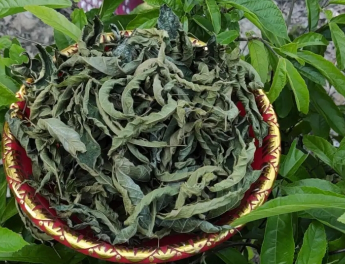 20241213154358 20241213154358