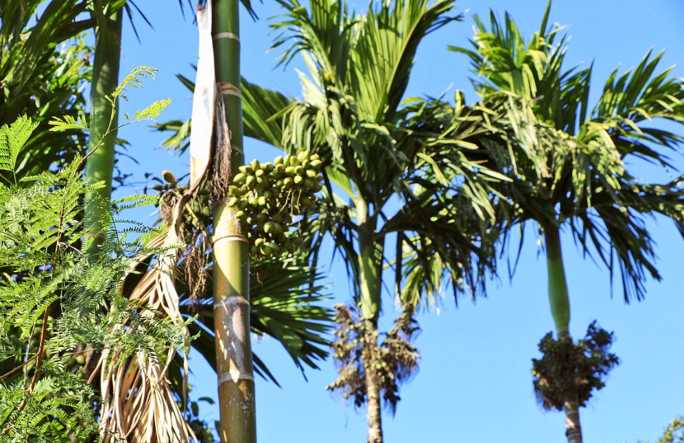 20250208145626 20250208145626