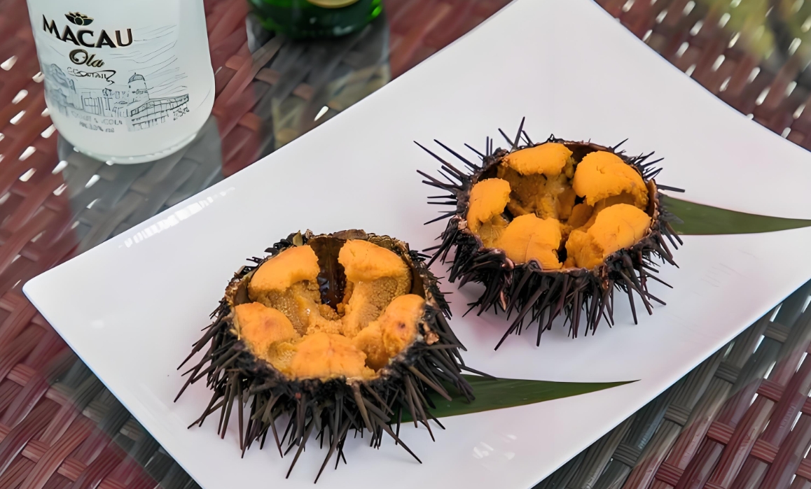 20250214155457 20250214155457