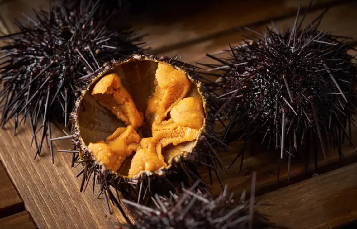 20250312151712 20250312151712