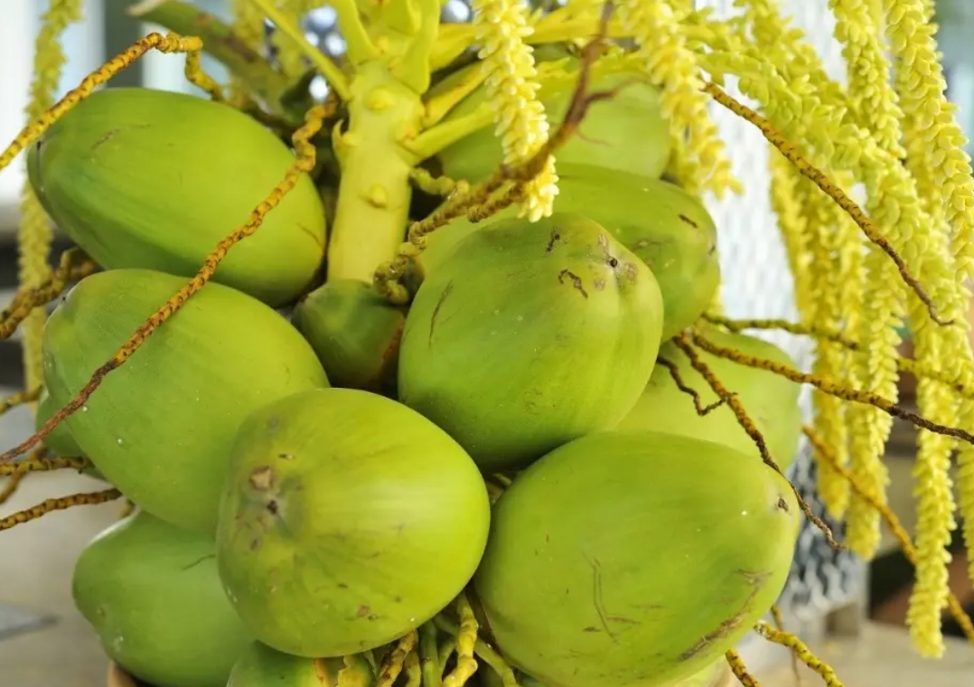 20250613162539 20250613162539