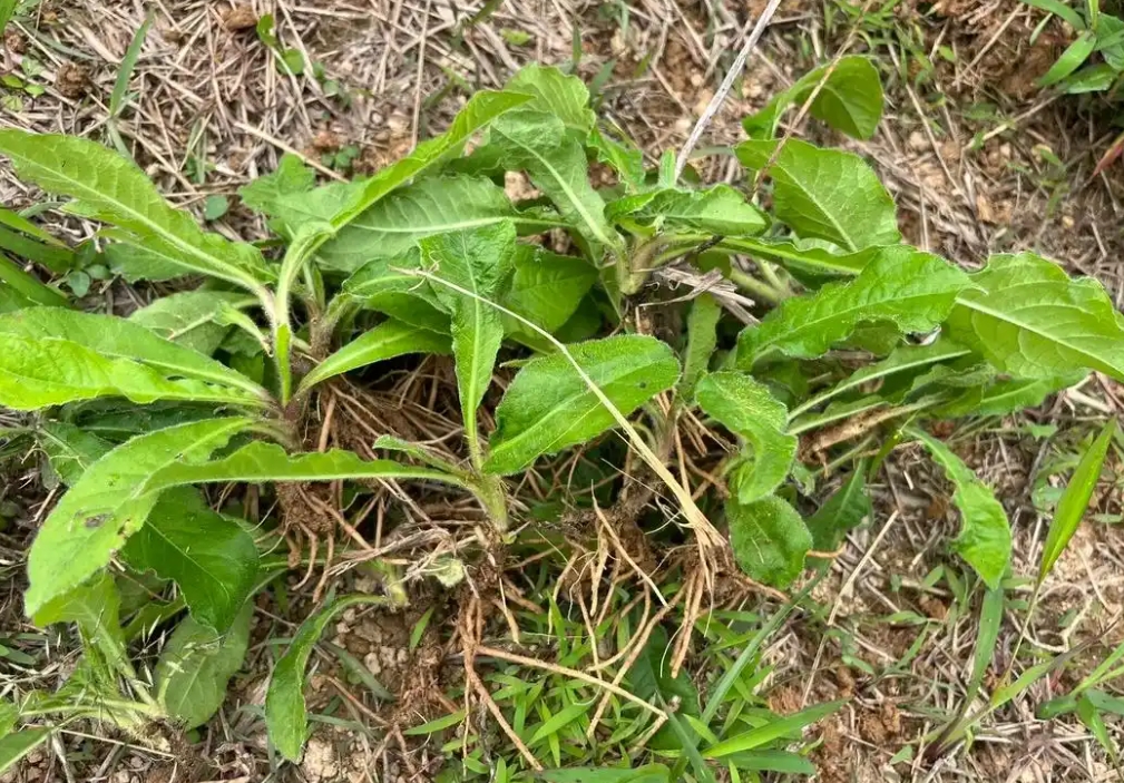 20250616170153 20250616170153