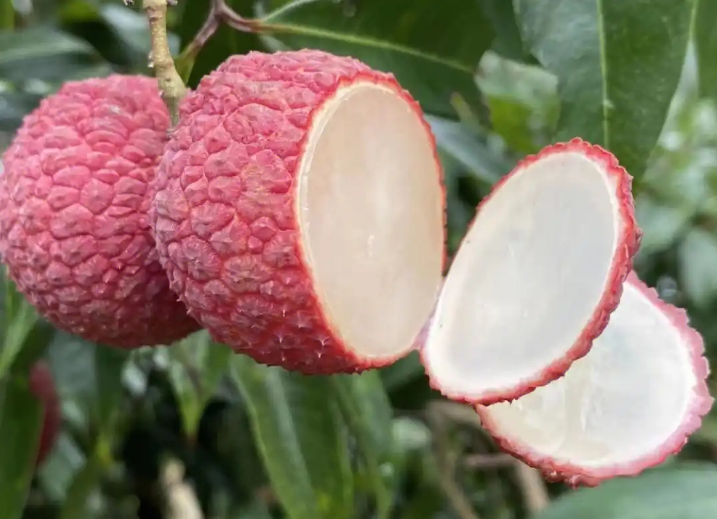 20250701155837 20250701155837