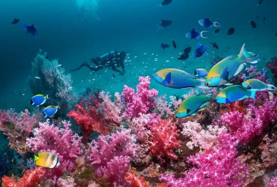 20250709162919 20250709162919