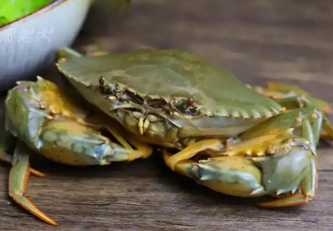 20250711164648 20250711164648