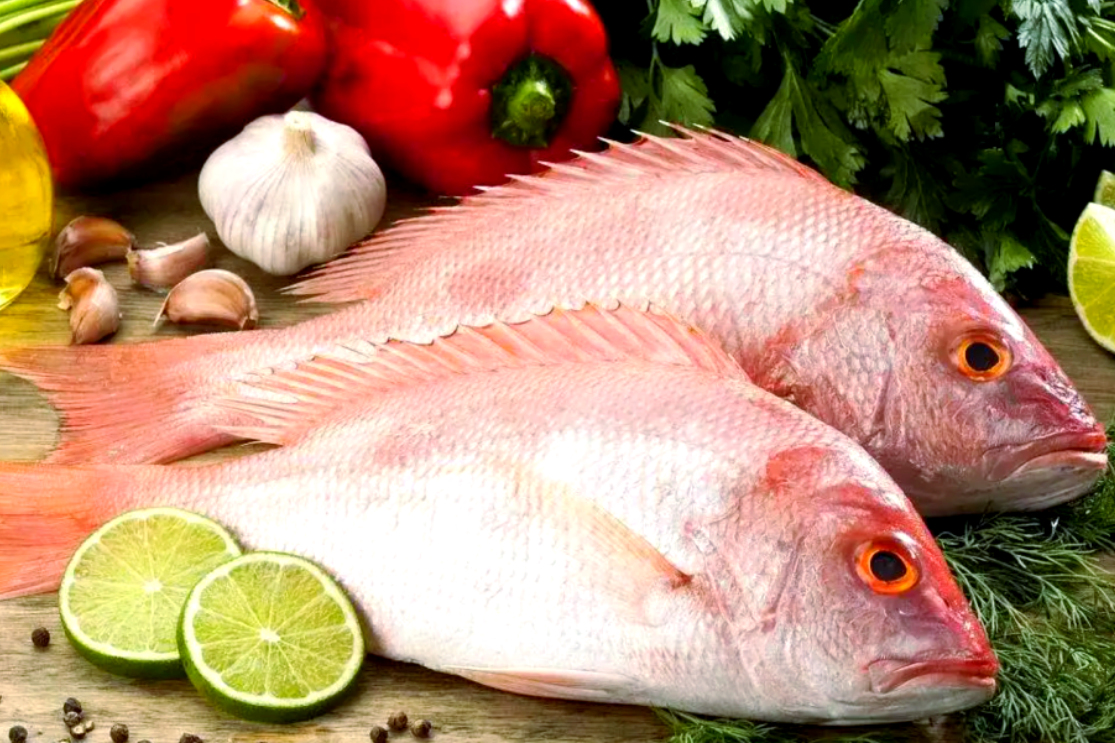 20250926155734 20250926155734