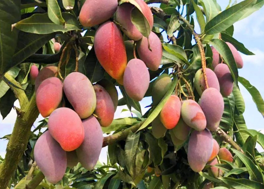 20250928160258 20250928160258