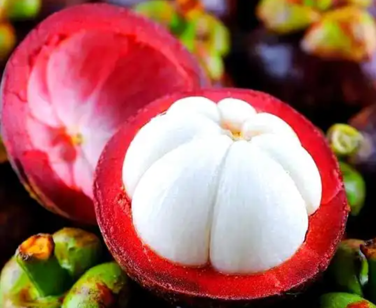 20251029151955 20251029151955