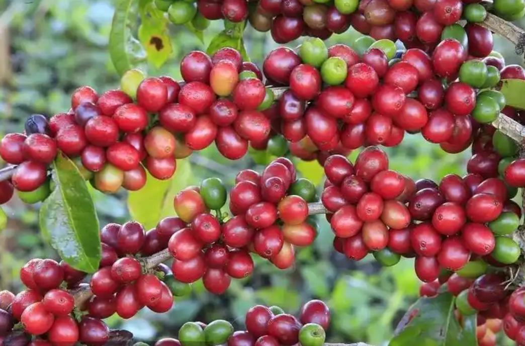 20251217151903 20251217151903