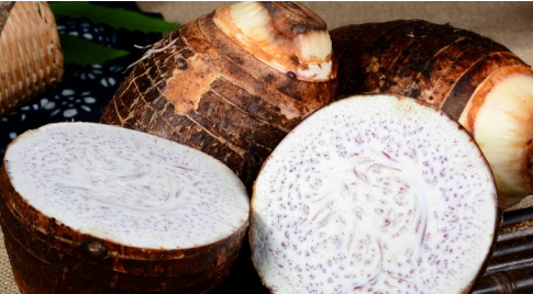 1697440029301438.png ΢ÐŽØÍ¼_20230821115607.png