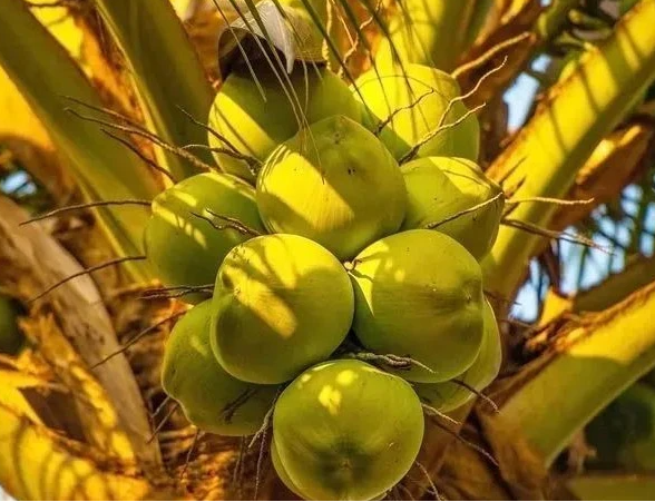 1697440846531255.png ΢ÐŽØÍ¼_20230904161324.png