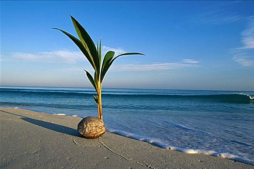 1697442432484465.png ΢ÐŽØÍ¼_20230822140141.png