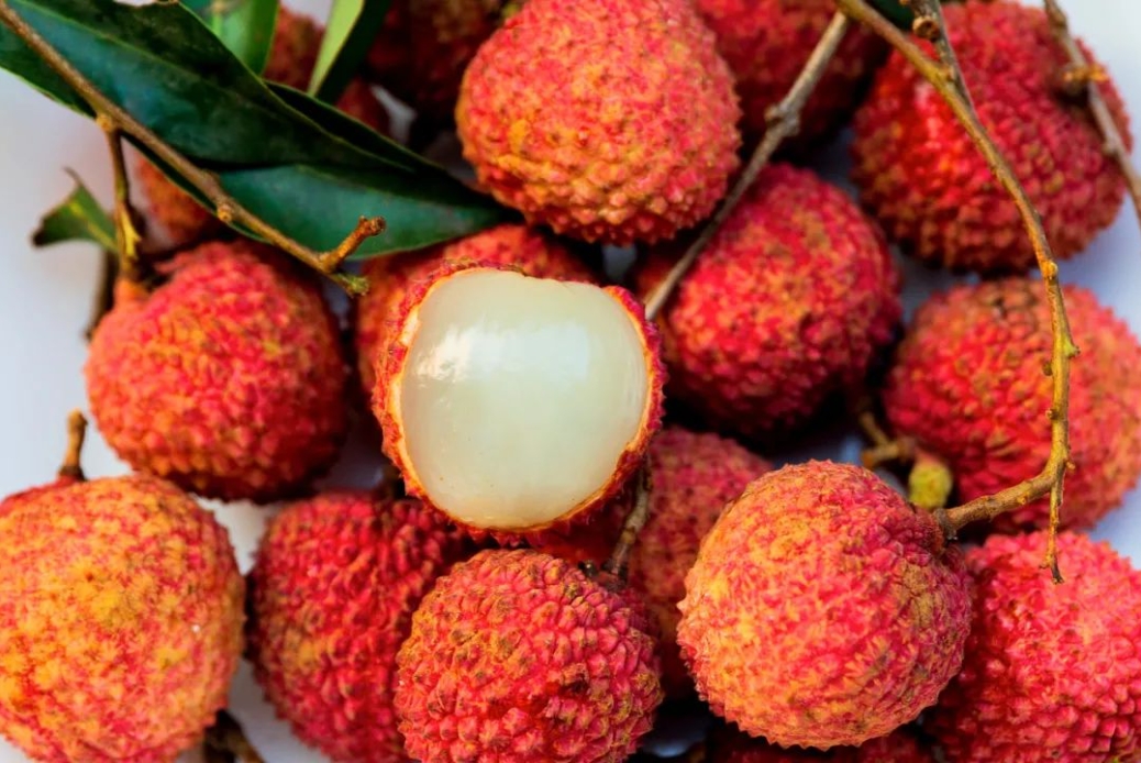 1704877015830878.png ΢ÐŽØÍ¼_20240108150504.png