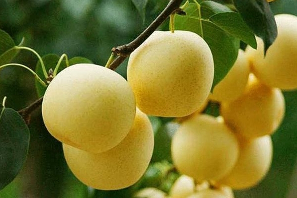 1709619988721616.png ΢ÐŽØÍ¼_20240304101738.png