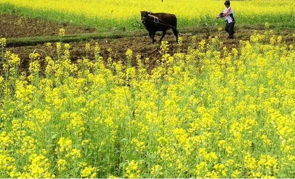 1709619996154258.png ΢ÐŽØÍ¼_20240304101840.png