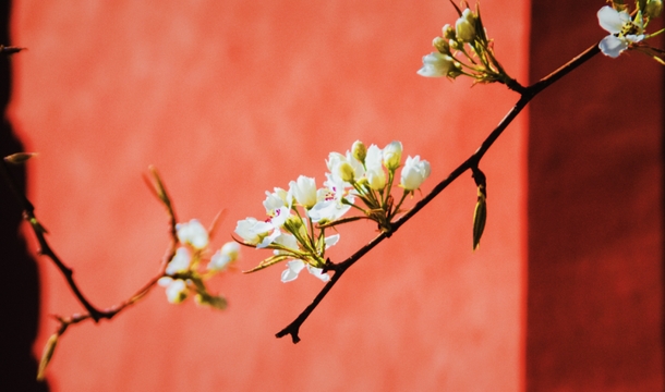 1709620000210334.png ΢ÐŽØÍ¼_20240304101959.png