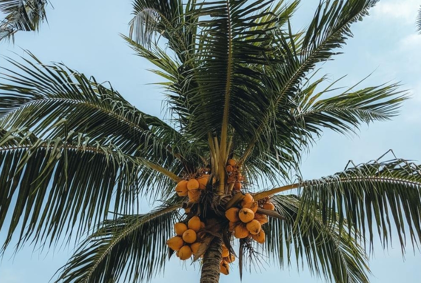 1722581605655579.png ΢ÐŽØÍ¼_20240731160419.png