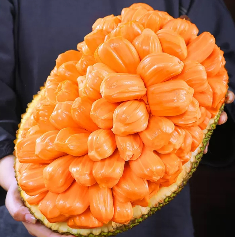 1724830562565867.png ΢ÐŽØÍ¼_20240827111317.png