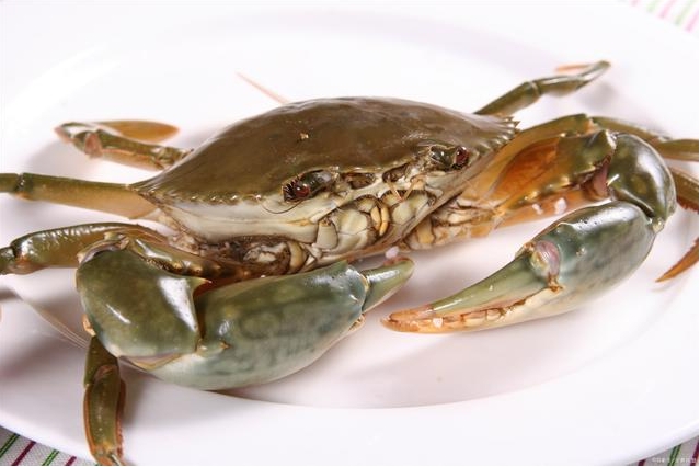 1724919924484801.png ΢ÐŽØÍ¼_20240827114030.png