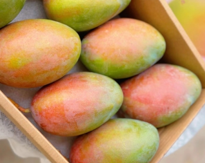 1725350665835725.png ΢ÐŽØÍ¼_20240902152455.png