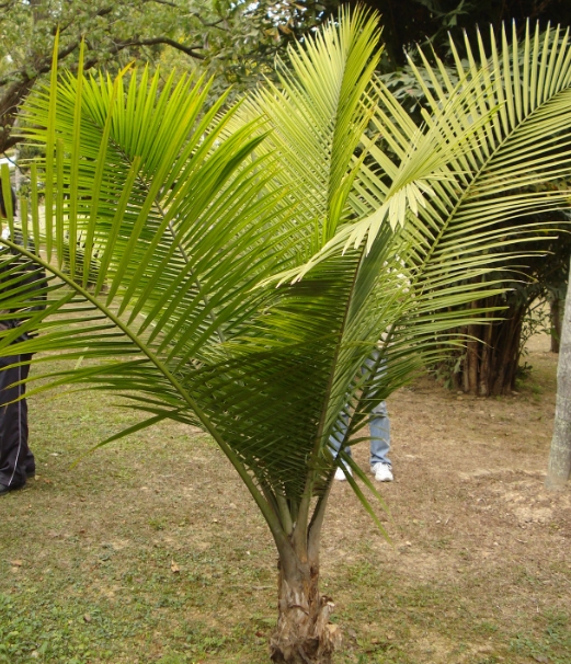 1726732185697336.png ΢ÐŽØÍ¼_20240918153837.png