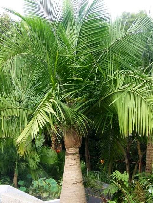 1726732191398961.png ΢ÐŽØÍ¼_20240918153912.png