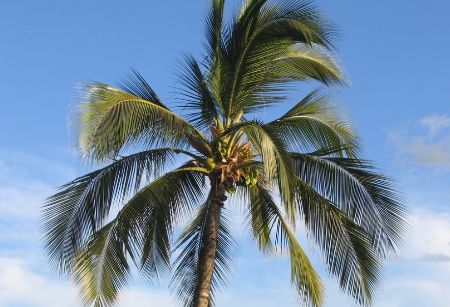 1729750039675708.png ΢ÐŽØÍ¼_20241022120133.png