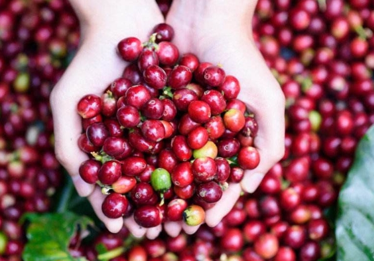 1730873506768372.png ΢ÐŽØÍ¼_20241105104448.png