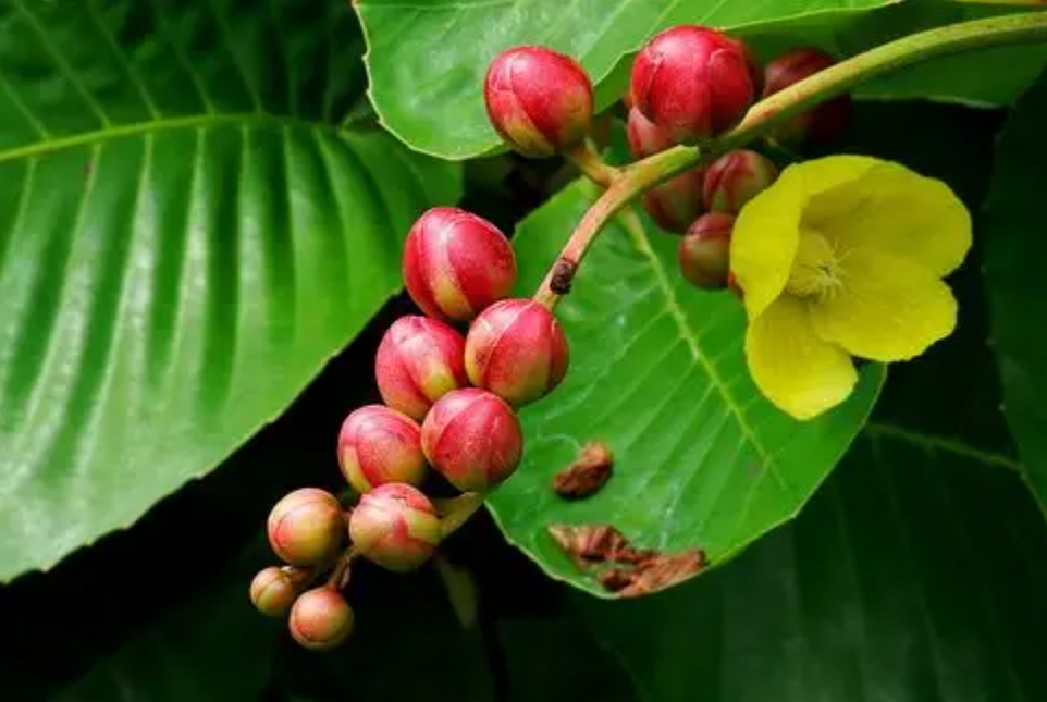 1735201389255208.png ΢ÐŽØÍ¼_20241223145951.png