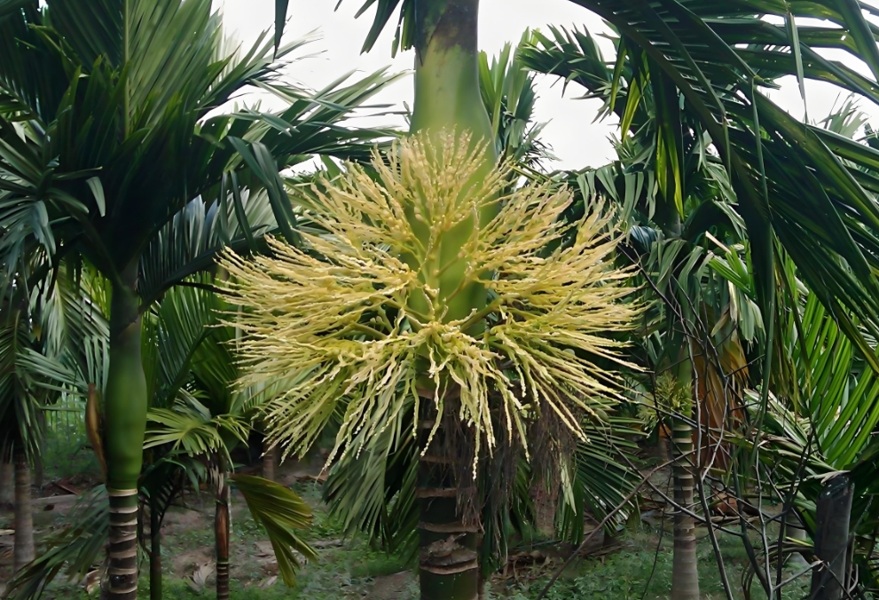 1738997792501420.png ΢ÐŽØÍ¼_20250207105348.png