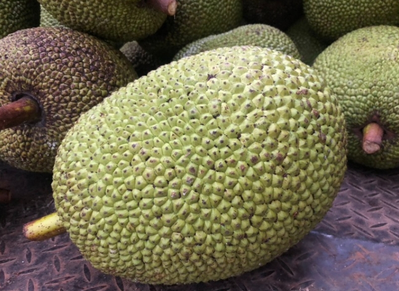 1739604441588129.png ΢ÐŽØÍ¼_20250214113424.png