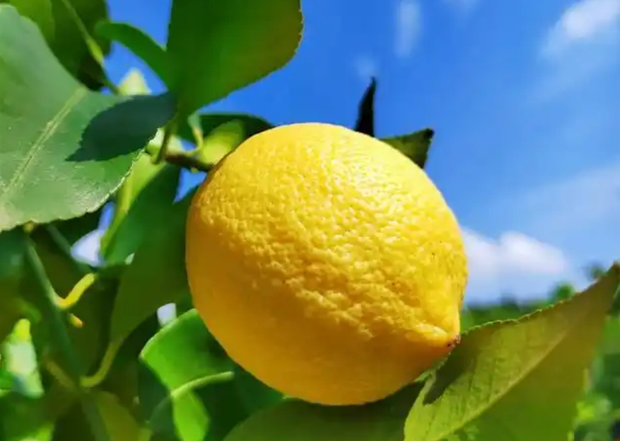 1740125069698999.png ΢ÐŽØÍ¼_20250221144841.png