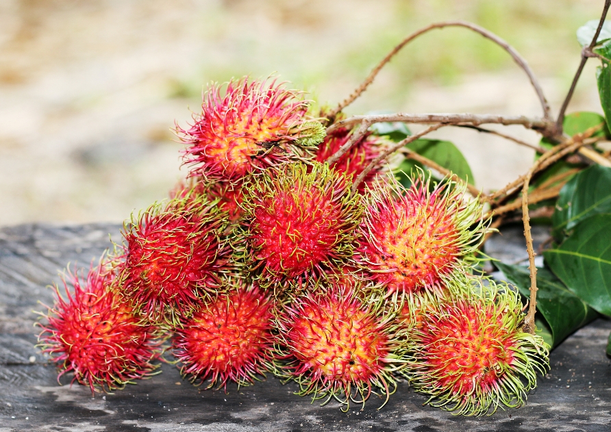 1741937828850900.png ΢ÐŽØÍ¼_20250314113919.png