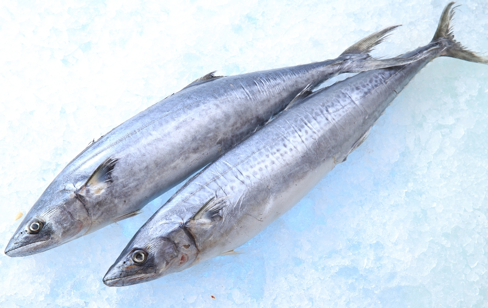 1742198828828787.png ΢ÐŽØÍ¼_20250317143816.png