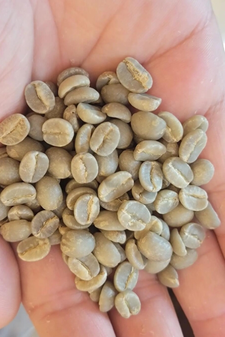 1745564539509979.png ΢ÐŽØÍ¼_20250425134354.png