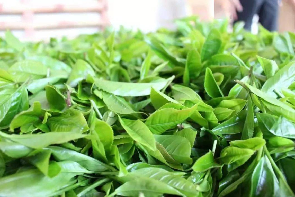 1747295354459582.png ΢ÐŽØÍ¼_20250515143748.png