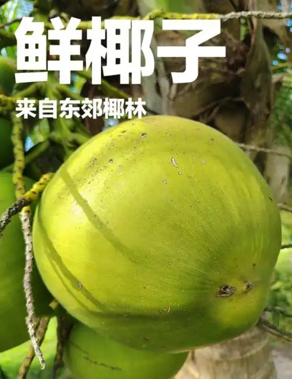 1747902617234629.png ΢ÐŽØÍ¼_20250522145105.png