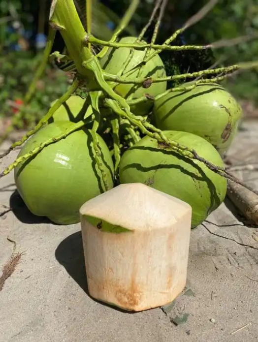 1749196619608822.png ΢ÐŽØÍ¼_20250606112947.png